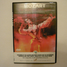 DVD - Mozart - Nunta lui figaro