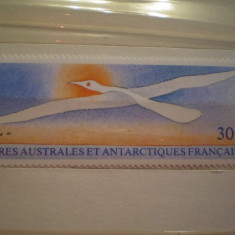 Timbru nestampilat Terres Australes et Antarctiques Francaise - 1buc - 1990 - Posta aeriana.