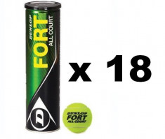 Mingi Tenis Bax DUNLOP FORT All Court 72 mingi (18 cutii), COD XFORT foto