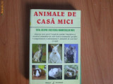 D6 Margie Wilson - Animale de casa mici