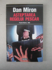 Dan Miron - Asteptarea regelui pescar foto