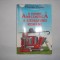 O ISTORIE ANECDOTICA A LITERATURII ROMANE - FLORENTIN POPESCU/rf3/2,rm3