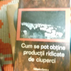 CUM SE POT OBTINE PRODUCTII RIDICATE DE CIUPERCI