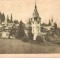 CPI (B2976) SINAIA. CASTELUL PELES, EDITURA &quot;PROGRESUL&quot;, SIBIU, NECIRCULATA