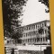 GIURGIU POLICLINICA 1965