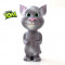 Talking Tom Cat - jucaria vorbitoare - repeta dupa tine FACTURA si GARANTIE 12 Luni