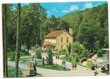 carte postala(ilustrata)-MONEASA-vedere din statiune