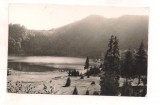 Carte postala(ilustrata)-TUSNAD-Lacul Sf. Ana, Circulata, Fotografie