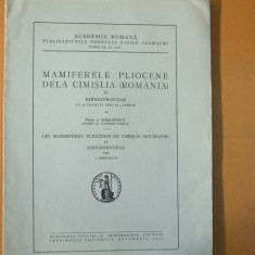 Ioan Simionescu Mamiferele pliocene dela Cimslia Romania Rhinocerotidae 1940 200