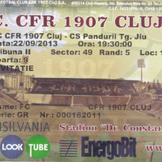 Bilet Meci Invitatie - F.C. CFR 1907 CLUJ - CS PANDURII TG. JIU , 22/09/2013