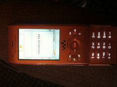 SONY ERICSSON W595 ROZ foto