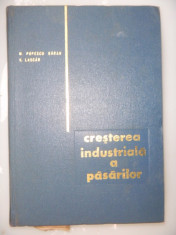CRESTEREA INDUSTRIALA A PASARILOR -M.P.Baran si V.Lascar foto