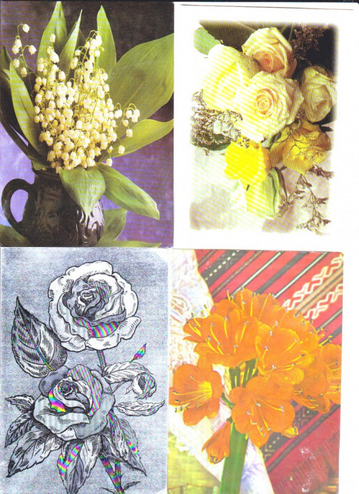 Flori,lot 4 bucati ilustrate postale