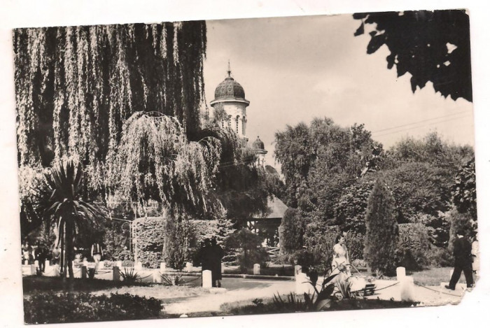 carte postala(ilustrata)-RADAUTI-vedere din parc