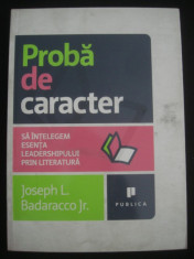 JOSPEH L. BADARACCO JR. - PROBA DE CARACTER foto