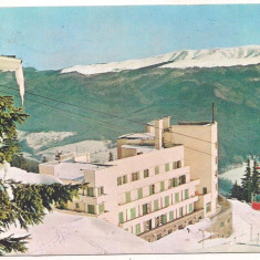 carte postala(ilustrata)-SINAIA -Hotel Alpin