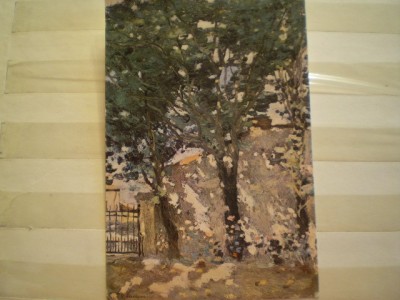 ROMANIA - CONSTANTA - MUZEUL DE ARTA - COLT DIN STRADA POVERNEI [ STEFAN LUCHIAN ] - NECIRCULATA. foto