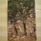 ROMANIA - CONSTANTA - MUZEUL DE ARTA - COLT DIN STRADA POVERNEI [ STEFAN LUCHIAN ] - NECIRCULATA.