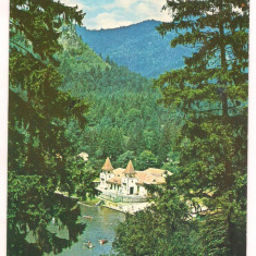 carte postala(ilustrata)-TUSNAD-Lacul Ciucas