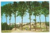 Carte postala(ilustrata)-SUCEAVA-cetatea, Circulata, Printata