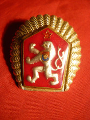 Insigna Militara de Sapca Cehoslovacia ,metal aurit si email ,h= 3,8 cm foto