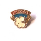INSIGNA UZBEKISTAN - 20 x 22 mm **