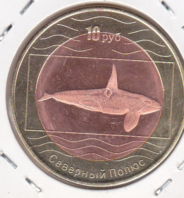 bnk mnd North Pole 10 ruble 2012 unc, fauna , bimetal foto