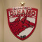 Emblema Steaua Dinamo