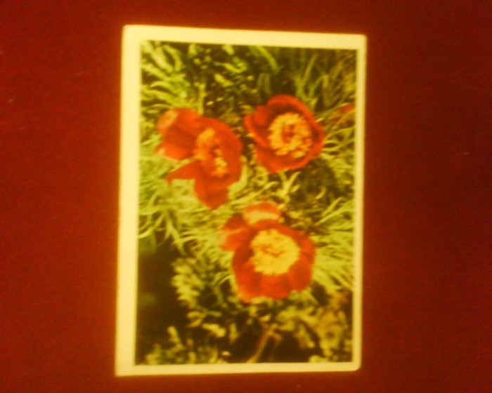Felicitare, tiparita in URSS, in anul 1967, circulata in Romania