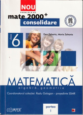 MATEMATICA ALGEBRA, GEOMETRIE - CULEGERE PT CLASA A VI A PARTEA I de DAN ZAHARIA MATE 2000+ CONSOLIDARE ED. PARALELA 45 foto