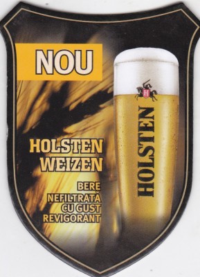 Suport de pahar / Biscuite HOLSTEN foto