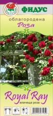 Trandafir Catarator (butas) - Royal Ray Bulgaria foto