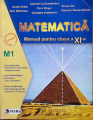 MATEMATICA MANUAL PENTRU CLASA A XI-A M1 - Gabriela Constantinescu foto