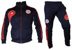 TRENING ADIDAS BAYERN MUNCHEN - PANTALON CONIC - MODELE NOI - 2014 - LIVRARE GRATUITA ! foto