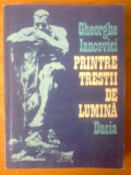 N Printre trestii de lumina - Gheorghe Iancovici, 1986, Alta editura