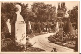 Carte Postala Bucuresti, Cismigiu, Parc, Natura, RPR, Libraria Noastra - Colectie