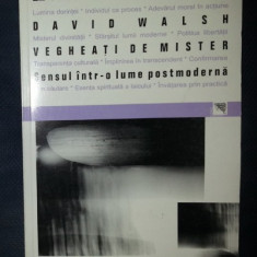 David Walsh VEGHEATI DE MISTER Sensul intr-o lume postmoderna Ed. Paideia 1999