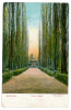 1662 - ORSOVA, Park, Romania - old postcard, CENSOR - used - 1915, Circulata, Printata