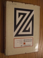 ZOOTEHNIA ROMANIEI - Vol. IV * CABALINE - V. Gligor, Gh. Moldoveanu, T. Suciu, Gh. Georgescu, V. Otel, N. Balas -- 1975 , 420 p., tiraj 1460 ex. foto