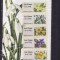 MAREA BRITANIE 2014 POST AND GO BRITISH FAUNA 1 - SPRING BLOOM FASTSTAMPS