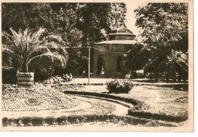 AMP3787 Buzias, parc, RPR foto