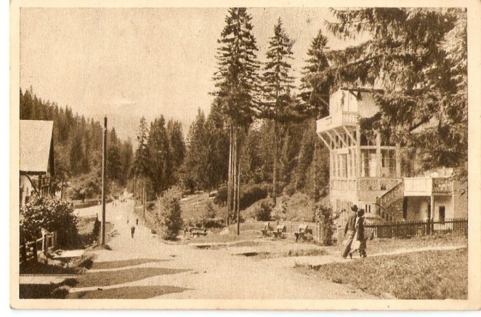 AMP3793 Borsec, peisaj, RPR