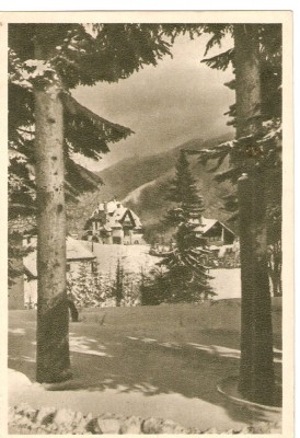 AMP3780 Predeal, peisaj, RPR foto