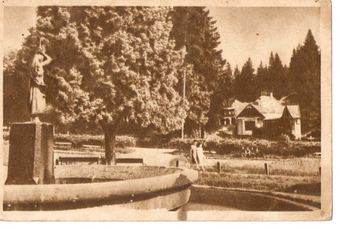 AMP3795 Borsec, parc, RPR
