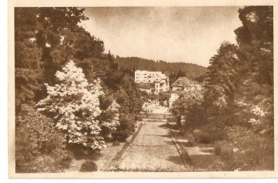 AMP3801 Govora, parc, RPR foto