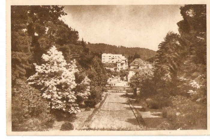 AMP3801 Govora, parc, RPR