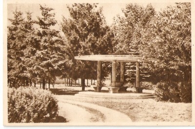 AMP3817 Covasna, parc, RPR foto