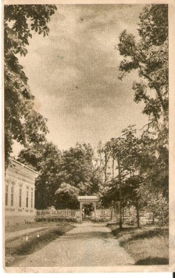 AMP3818 Covasna, parc, RPR foto