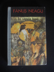 FANUS NEAGU - IN VAPAIA LUNII foto