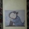 Giacomo Leopardi DAS GEDANKENBUCH ed. critica DTV 1992